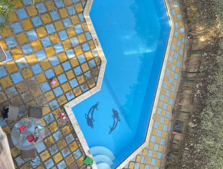 استيلا دي ماري جراند