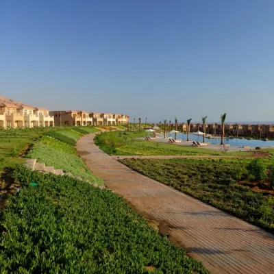 تلال العين السخنة